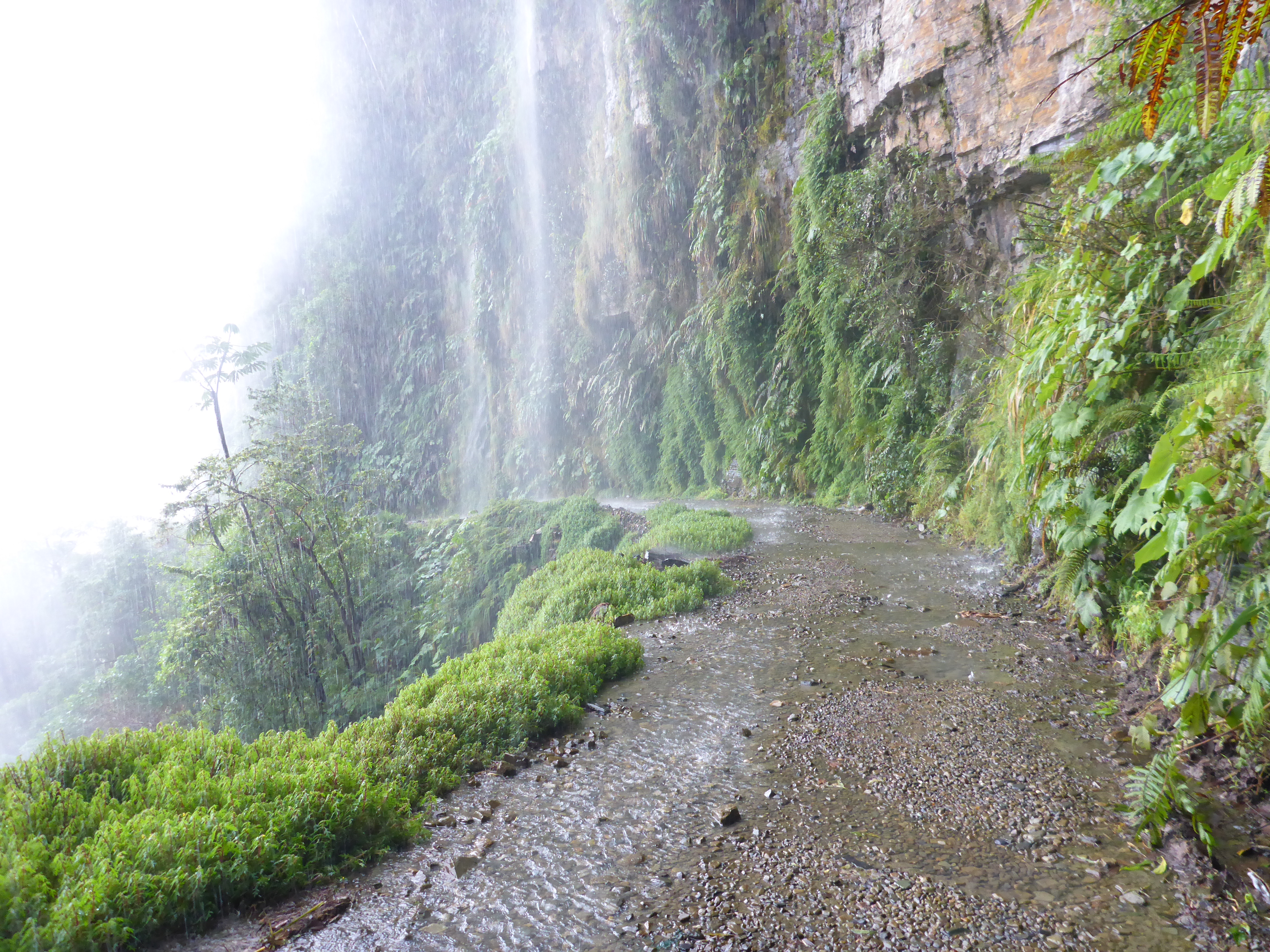 Yungas Road